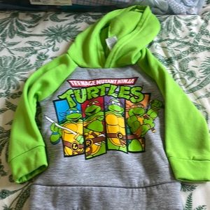 Nikolodean Ninja Turtles sweatshirt